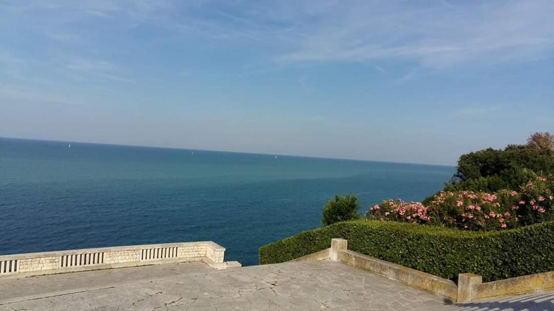 Casa Viorica Otel Ancona Dış mekan fotoğraf